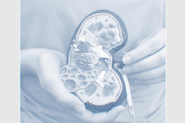 (Medical Doctors) Who Owns the Cardiovascular-Kidney-Metabolic Patient Before the Event Occurs? | from 17 Jul, 2026 to 24 Sep, 2026