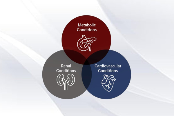 (Medical Doctors) Cardio-Renal Metabolic (CRM) 360 Webinar 1 | from 23 Mar, 2026 to 02 May, 2026